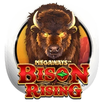 bisonrising